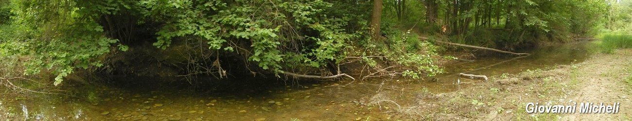 Parco del Ticino 13.6.15